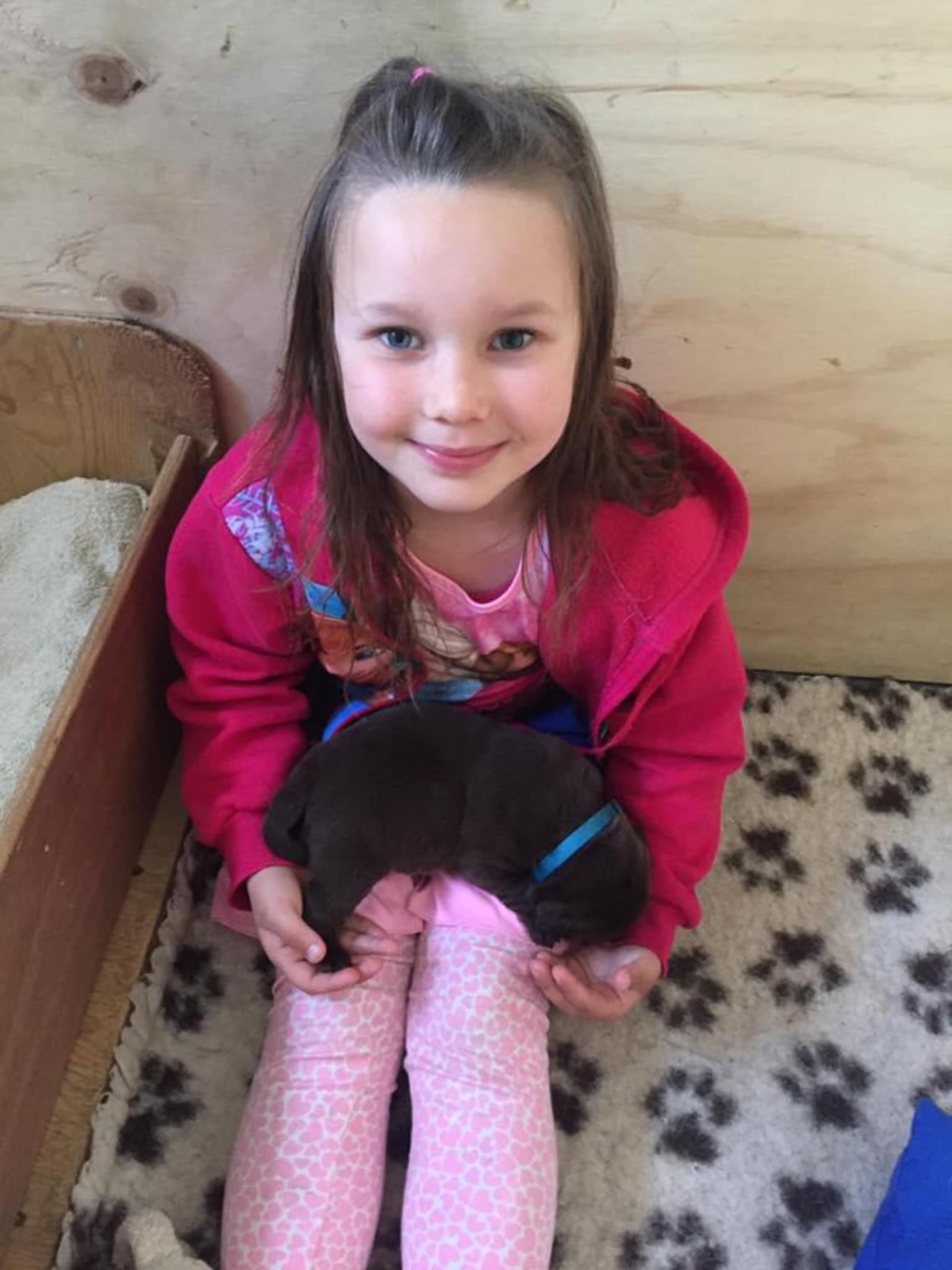 stemning billeder Kennel Cap De Lab